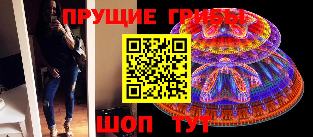 что такое наркотик  Псилоцибиновые грибы прущие грибы  Вход с VPN  Избербаш 